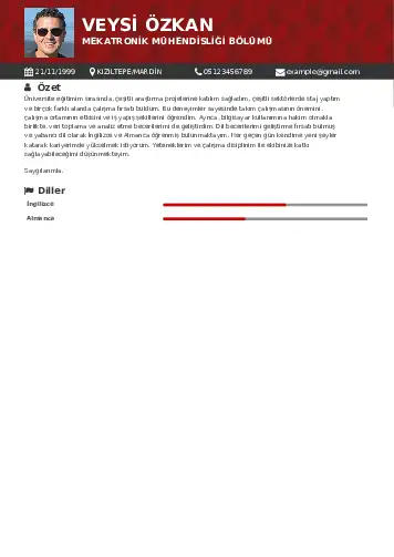 Mekatronik Mühendisliği Cv Örnekleri cv indir